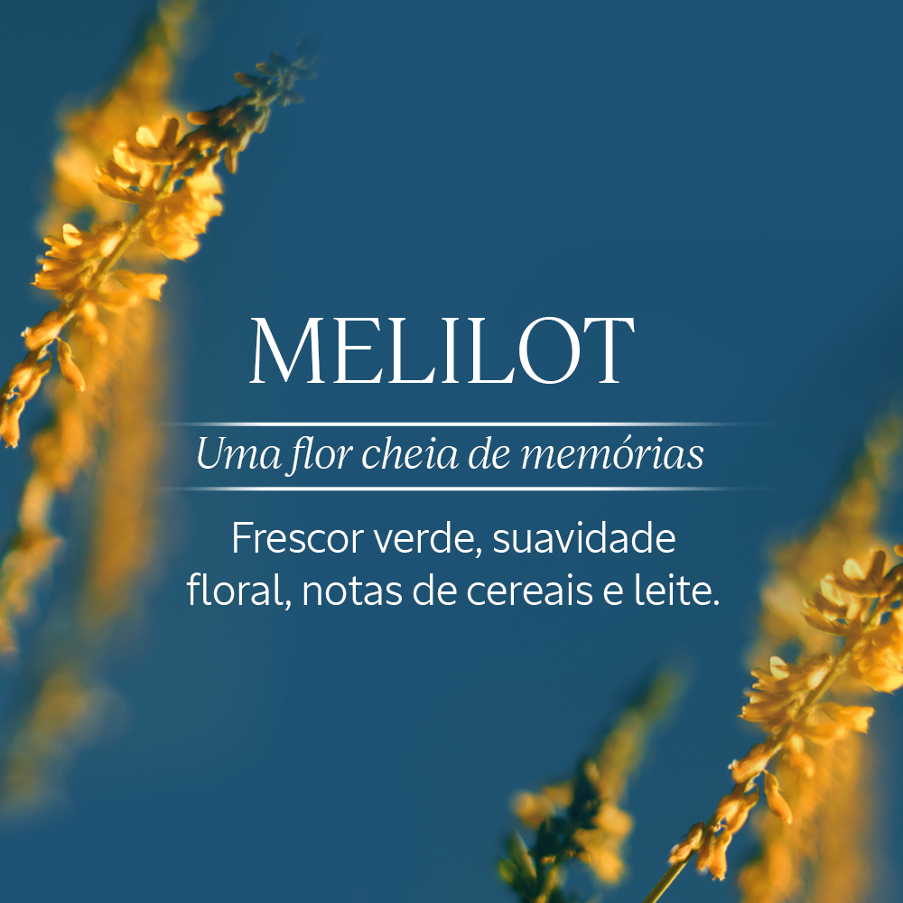 Eau de Parfum Melilot, , large